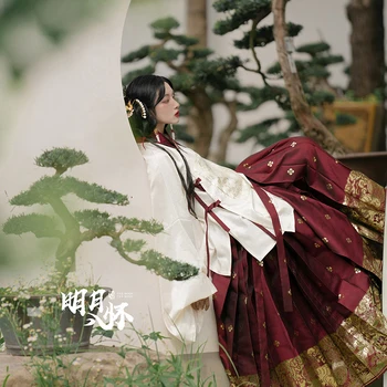 2022 Čínskej Tradičnej Hanfu Ženy Elegantné Dávnych Dynastie Ming Oblečenie Cosplay Kostým Tkanie Zlatý Kôň Tvár Sukne Nastaviť